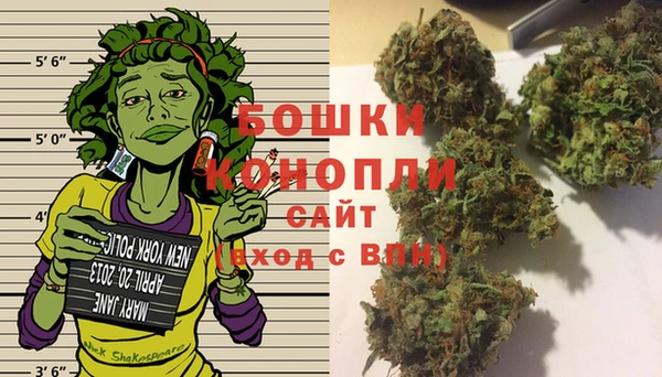 дмт Богородицк