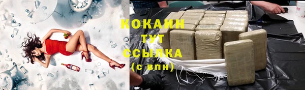 эйфоретик Богданович