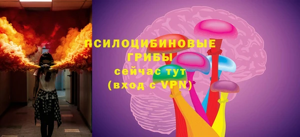 дмт Богородицк