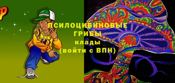 Альфа ПВП Богородск