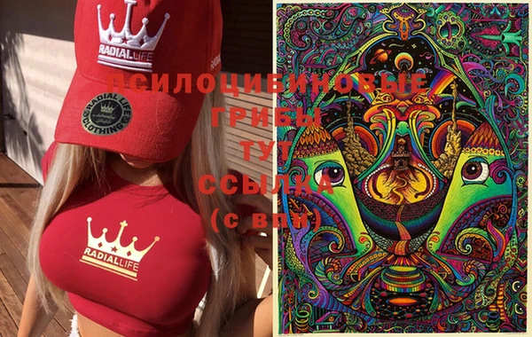 индика Белоозёрский