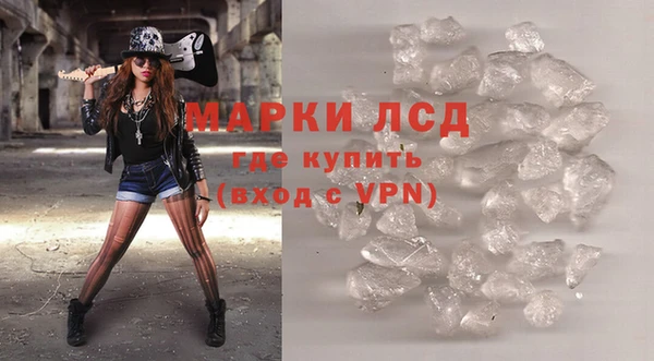 индика Белоозёрский
