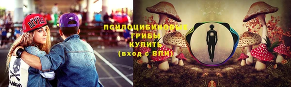 индика Белоозёрский